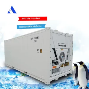 CSC BV Certified 20ft Refrigerated Cold Room Storage Reefer Freezer Container