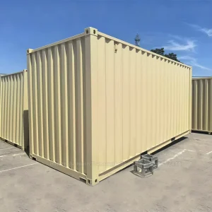 Cargo Shipping Container 20ft Ready Made Shipping Container for Cargo Sea Transportation