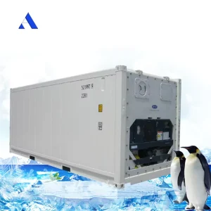 Carrier Refrigerator Equipment 20 Feet Ft Length 20ft Reefer Container