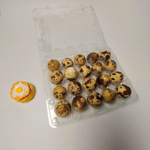 Clear Plastic Quail Egg Carton 18 Holes Recyclable Transparent PET Packing Box Bulk Disposable Small Bird Egg Container Tray