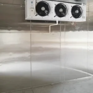 Commercial Blast Freezer Room Used Condition Cold Storage Freezers Solar-Powered Remote Control Energy