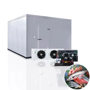 Commercial Container Cold Room 12x10x8 Feet Copeland Compressor Automatic Gearbox Freezer Refrigerator