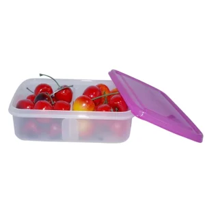 Compartment Bento Style Toddler Kids Lunch Box Microwavable Plastic Containers with 0-1L Capacity for Fresh Fruits