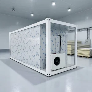 Container Cold Room 20ft 40ft Reefer Container Offshore Cold Storage Ice Freezer Outdoor Walk in