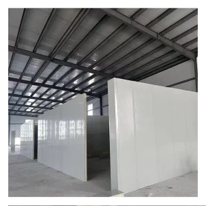 Container Freezer Cool Room Unit Blast Freezer Container Room Cooling System Reefer Container Vegetable Cold Room Refrigerator