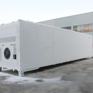 Controlled Atmosphere Reefer Container for Fruit Vegetable Sea Transportation