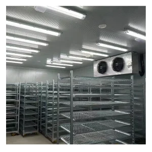 Cool Room Unit Blast Freezer Container Room Cooling System Reefer Container Vegetable Cold Room Refrigerator Chambre Froide