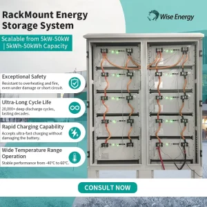 Custom 50kWh LTO Energy Storage Cabinet Outdoor High Voltage Battery System for Solar & Home Use