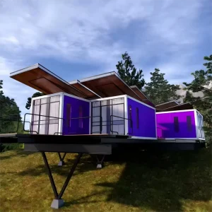 Custom Container Home with Detachable Parts