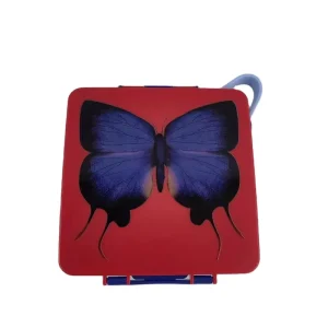 Custom Insulated Leak Proof BPA Free Lunch Box with Ice Pack Summer Cooler Bento Box 3 Compartments