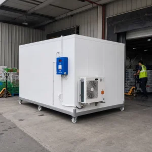 Custom Made Cold Storages Refrigeration Facilities for Meat Fish Vegetables Preservation Energy Efficient Compartments Easy