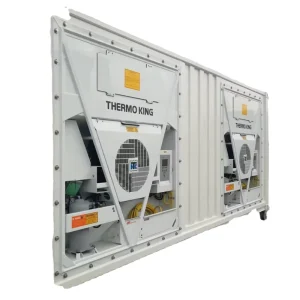 Customizable 20 Foot & 40 Feet Large Storage Shipping Containers New 40 HC Reefer Container with T Floor From China