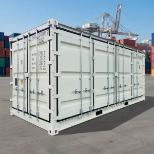 Customizable Designed Steel Structure 20 Feet One Side Open Door Shipping Container for Sale