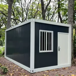 Customizable Modern Durable Quick Instal Hygiene Cleanliness 20ft Steel Structure Portable Container House