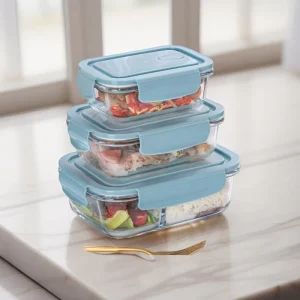 Customize High Borosilicate Heat-resistant Glass Preservation Bowl Microwave Compartments Box Food Storage Container
