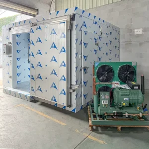 Customized Cold Room Freezing System Mobile Container Cold Room Industrial Cold Room Door Condenser Unit for Meat Storage