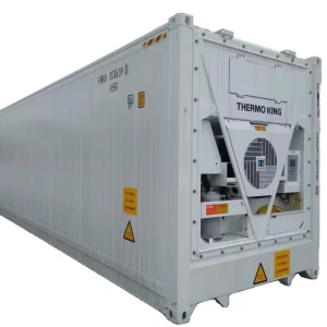 Customized New Carrier Reefer 40FT Refrigerated Shipping Container