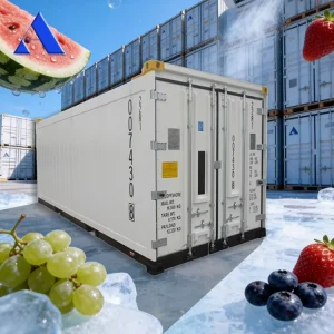 DNV 2.7-1 Standard 20-Foot Offshore Refrigerated Container, 20-Foot Freezer Container for Vegetable, Fruit, and Seafood Storage, for Sale