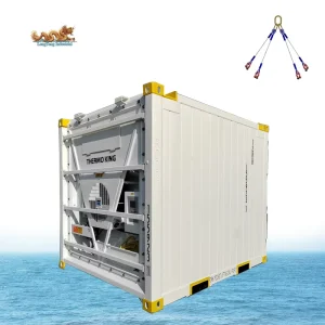 DNV 2.7 1 and ISO 10855 Standard 10-Foot Refrigerated and Frozen Container with Thermo King Cooling Unit