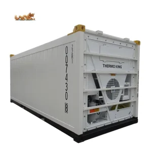 DNV 2.7 1 ISO 10855 Standard 20ft 20 Feet 20 ft Refrigerated Chiller and Freezer Offshore Reefer Container Manufacturer