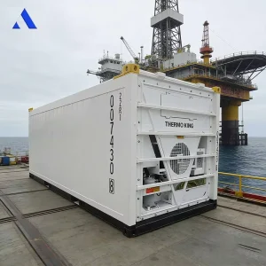 DNV 2.7-1, LR, and BV Certified 20-Foot Offshore Refrigerated Container with Steel-Aluminum Floor