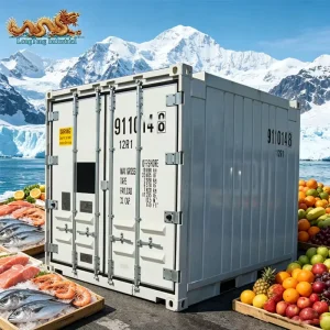 DNV 2.7 1 Standard Freezer and Chiller Refrigerator Box 8ft Offshore Reefer Container with Aluminum T Floor