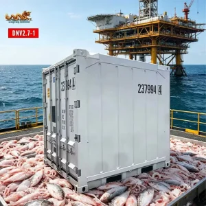 DNV 2.7-1 / ISO 10855 Standard LR-Certified 8-Foot Offshore Refrigerated Container for Use on Offshore Platforms and Vessels