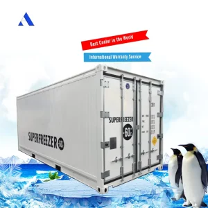 Deep Freezer Refrigerator Minus 60 Centigrade Reefer Containers 20ft For Fruits And Meat Storage
