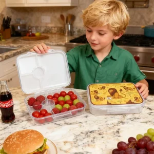 Dinosaur Bento Lunch Box Gift Transparent Logo Leak Proof BPA Free Food Grade Plastic >3 Compartments Glitter Design Kid