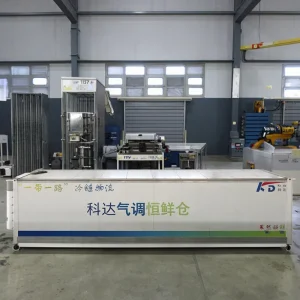 Durian Modified Atmosphere Reefer Container Marine Grade