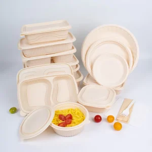 Eco Friendly Food Grade Cornstarch Lunch Boxes with Compartments Storage Containers for Healthy Meals