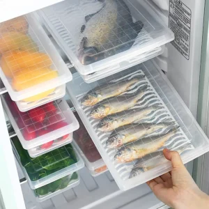 Eco Friendly Fridge Food Storage Box with Drain Tray