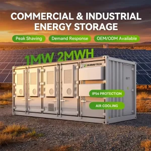Emergency Backup Power System 20ft Container BESS 1MWh Air-Cooled for Data Centers
