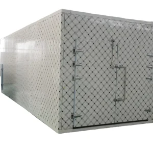 Energy Saving Compressor Container Banana Chamber Ripening 10 Tons Cold Storage