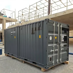 Environmentally Friendly Heavy Duty Steel Structure 10ft Dry Cargo Shipping Container for Storage