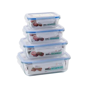 Food Storage Container Heat Resistant Glass Portable Lunch Box with a sealed Lid