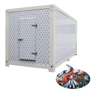 Freezer Container Mobile Container Reefer Container Cold Room Customize Provided Energy Saving Freezing Chamber