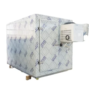 Freezing Room Cold Storage 20ft Mobile Container Storage Cold Room Freezer For Fish Vegetable Fruits Ice Cream Walk In Freezer