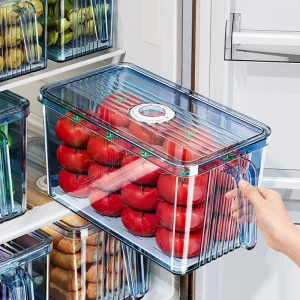 Fridge Storage Container Fridge Organizer Bin Plastic Food Silver Ion Antibacterial Fridge Food Container