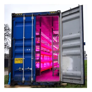 Greenhouse Container Hydroponic System Vertical Farming for Lettuce and Leafy Green NFT Hydroponic Container Farms