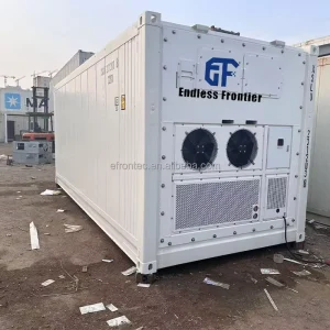 High Capacity 40ft Refrigerated Shipping Reefer Container with Dual Fresh & Frozen Zones for Multi Commodity Across Continents