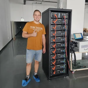 High Voltage 50Kwh 100Kwh 200Kwh Smart Bms Lithium Ion Battery Pack Industrial Commercial On Grid Energy Storage LifePO4 3 Phase