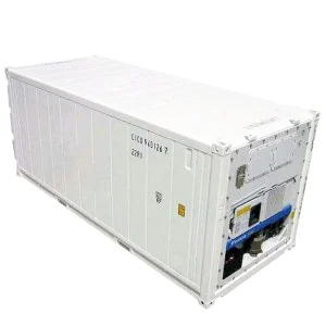 Hiqh Quality 20 Feet New Reefer Container Refrigerated Container for Sale in China