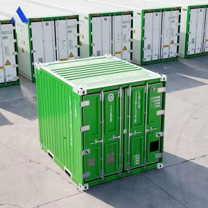 ISO 10855 and DNV 2.7-1 Standard 10-Foot DNV Offshore Refrigerated Container