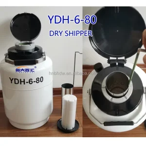 IVF Liquid Nitrogen Dry Shipper Portable Small Container to Freight YDH-6-80