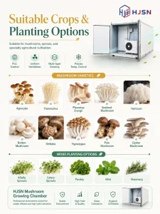 Large Shipping Container Farm With Hydroponic Vertical System And Pc Sheet Cover For Vegetable Growing