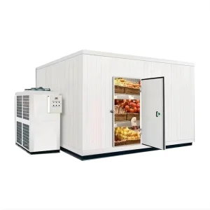 Medium Large Scale Compressor Freezer Refrigerator Energy Conservation 110V 480V Fresh Keeper Container Storage Cold Storage
