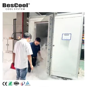 Mobile Cold Storage 85 Blast Freezer With 150mm Thickness 40KG m³ Panel Reefer Container for Food Preservation