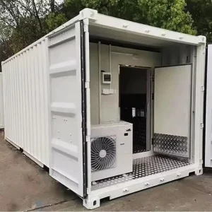 Mobile Refrigerated Container Freezer Room 20ft 40 ft Cold Storage Container 220V 380V Perfect for Temporary Events