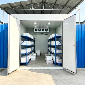 Modular Refrigerated Container System Industrial Cold Chain Storage for Pharmaceuticals